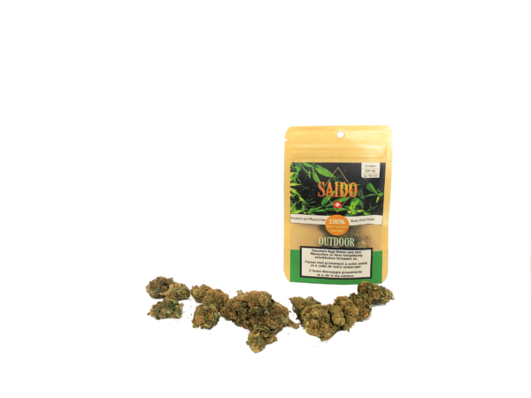 Outdoor 2g 3 e1681770861119