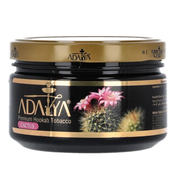 adalya cactus